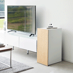 Video Game Storage Cabinet - Steel