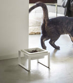 Single Pet Food Bowl - Tall - Steel + Ceramic