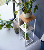 Two-Tier Display & Storage Shelf (31.5 H)  - Steel + Wood
