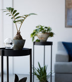 Two-Tier Rolling Plant Stand (28 H)  - Steel