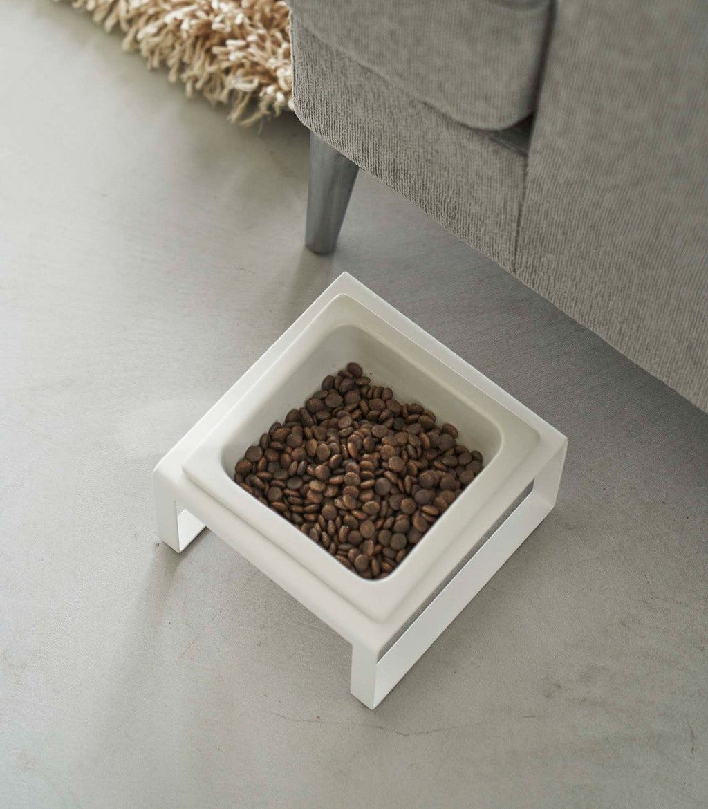 Single Pet Food Bowl - Steel + Ceramic