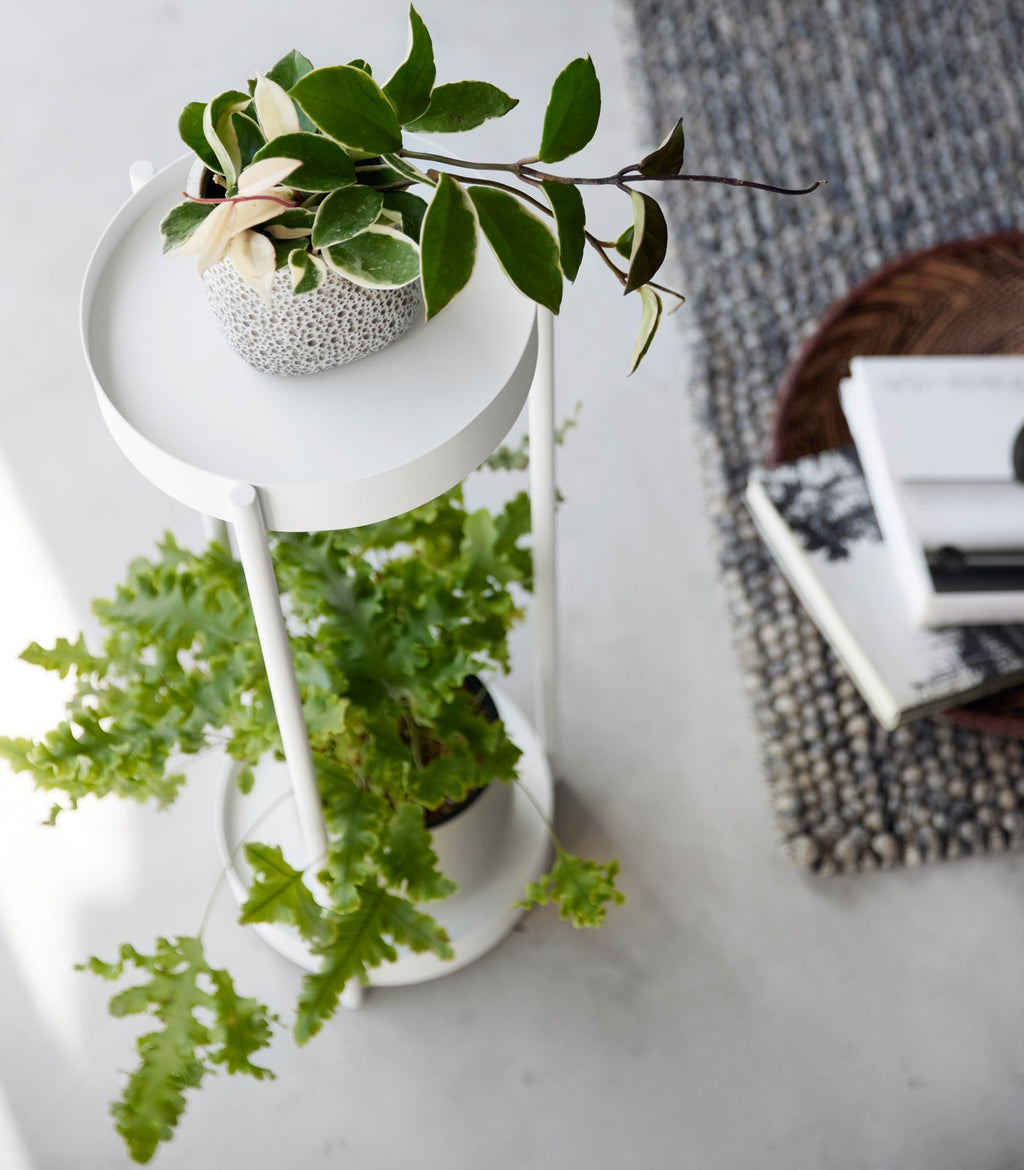 Two-Tier Rolling Plant Stand (28 H)  - Steel