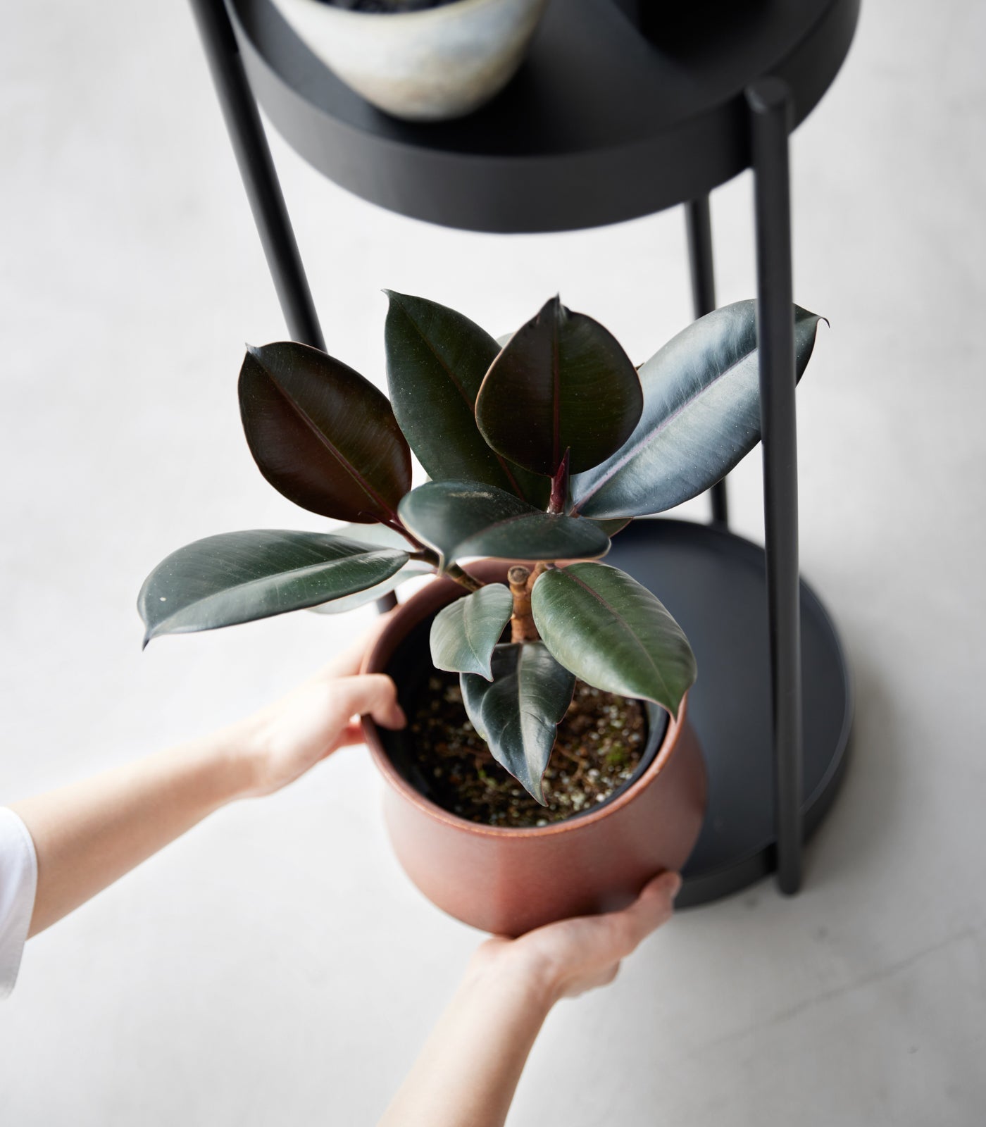 Two-Tier Rolling Plant Stand (28 H)  - Steel